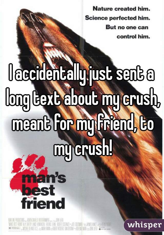 I accidentally just sent a long text about my crush, meant for my friend, to my crush!