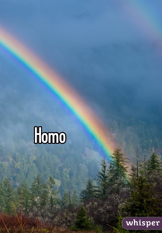 Homo