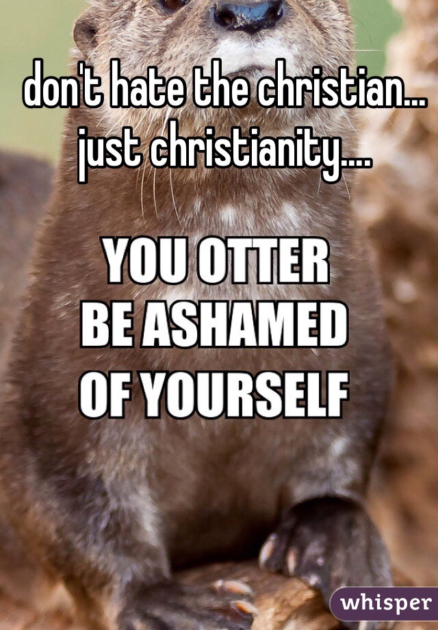 don't hate the christian... just christianity....