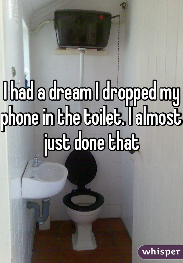 I had a dream I dropped my phone in the toilet. I almost just done that 