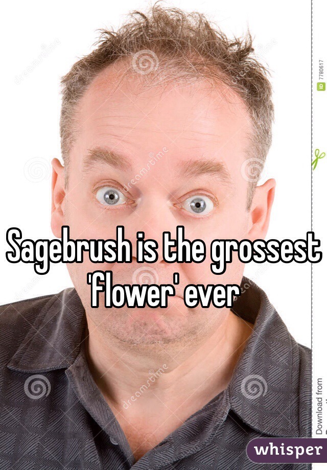 Sagebrush is the grossest 'flower' ever