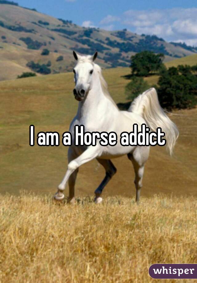 I am a Horse addict