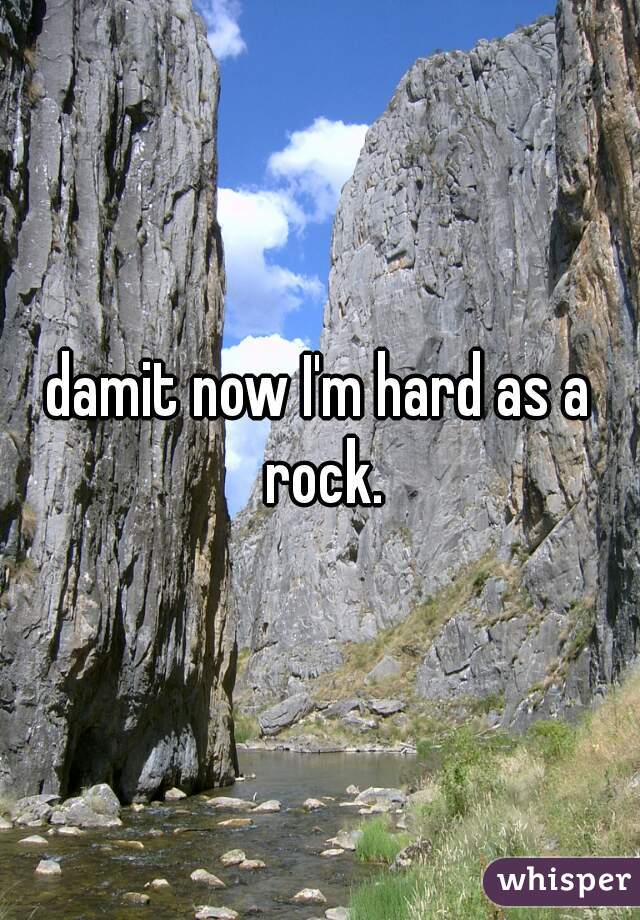 damit-now-i-m-hard-as-a-rock