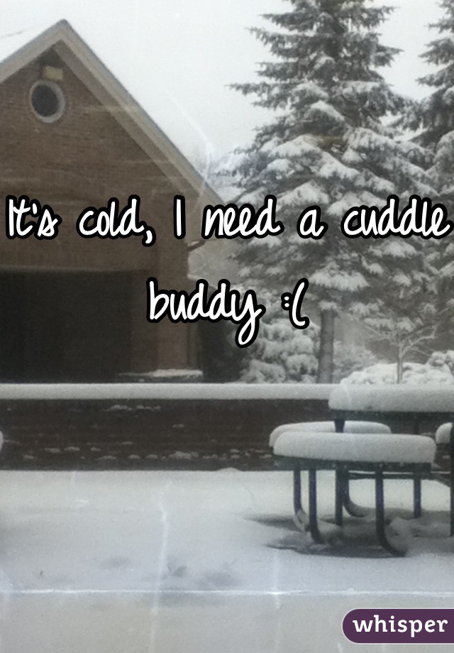 It's cold, I need a cuddle buddy :(