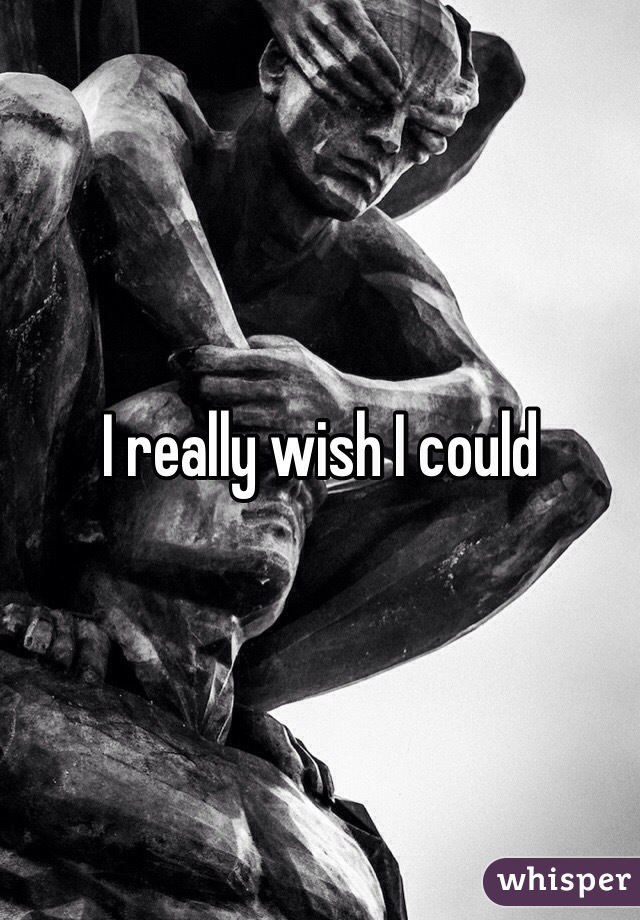 I really wish I could 
