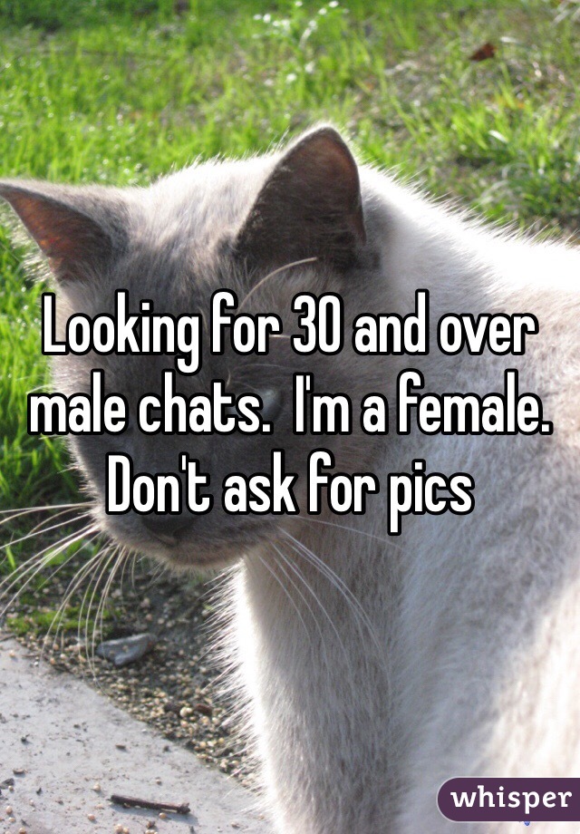 Looking for 30 and over male chats.  I'm a female.
Don't ask for pics