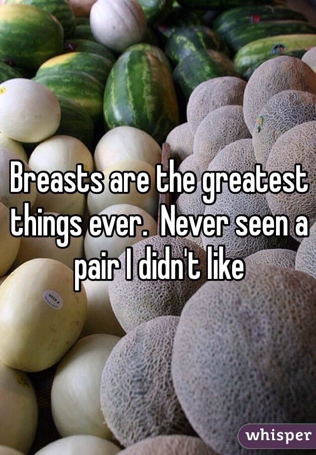 Breasts are the greatest things ever.  Never seen a pair I didn't like