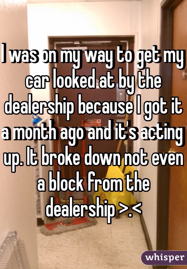 I was on my way to get my car looked at by the dealership because I got it a month ago and it's acting up. It broke down not even a block from the dealership >.<