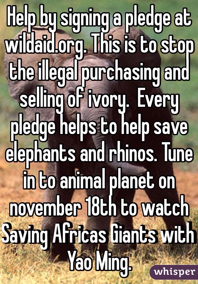 Help by signing a pledge at wildaid.org. This is to stop the illegal purchasing and selling of ivory.  Every pledge helps to help save elephants and rhinos. Tune in to animal planet on november 18th to watch Saving Africas Giants with Yao Ming.