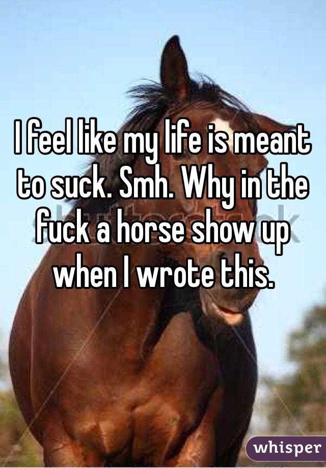 I feel like my life is meant to suck. Smh. Why in the fuck a horse show up when I wrote this.

