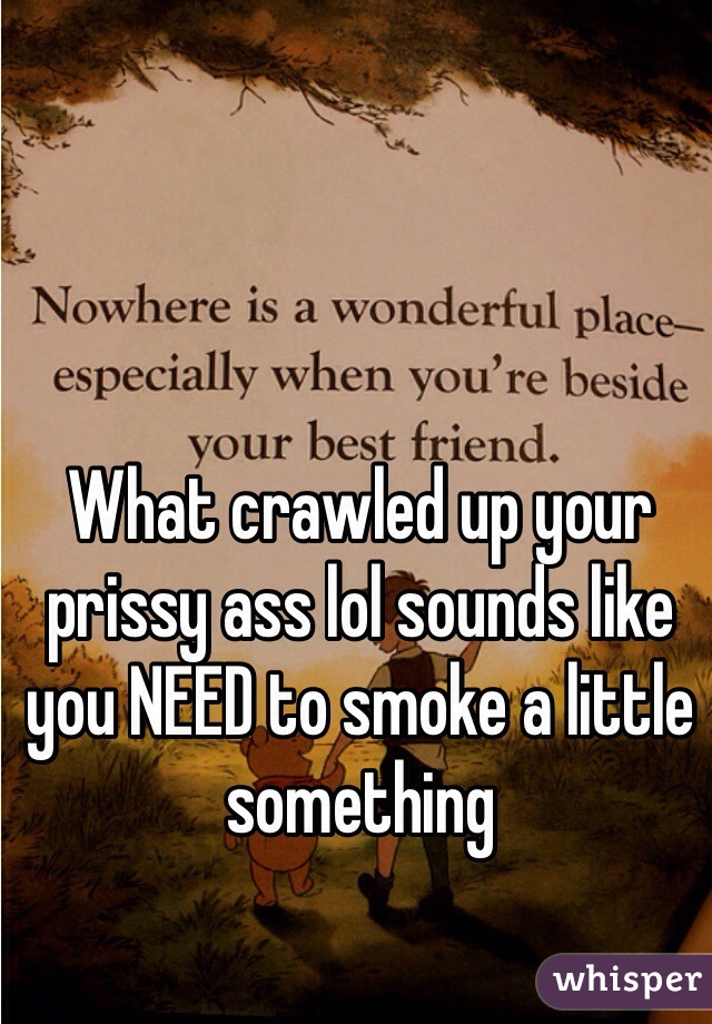 What crawled up your prissy ass lol sounds like you NEED to smoke a little something 