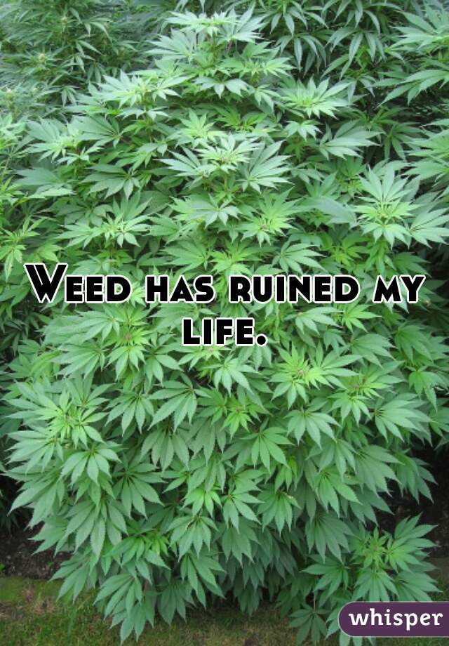 Weed has ruined my life. 