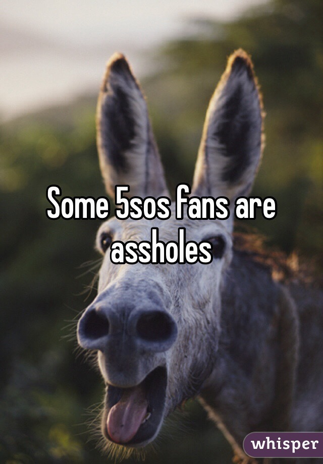 Some 5sos fans are assholes 