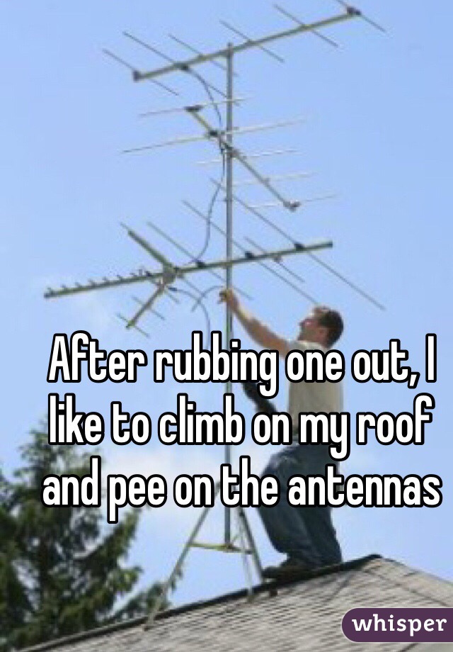 After rubbing one out, I like to climb on my roof and pee on the antennas 