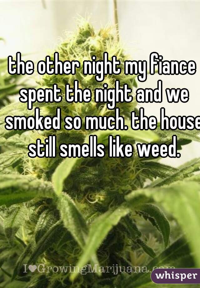 the other night my fiance spent the night and we smoked so much. the house still smells like weed.