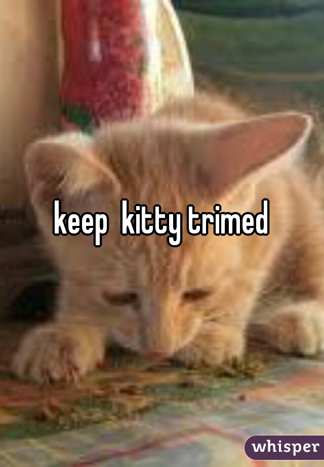 keep  kitty trimed