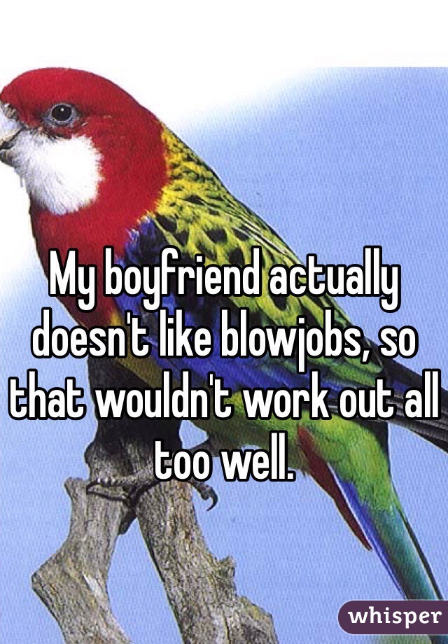 My boyfriend actually doesn't like blowjobs, so that wouldn't work out all too well. 
