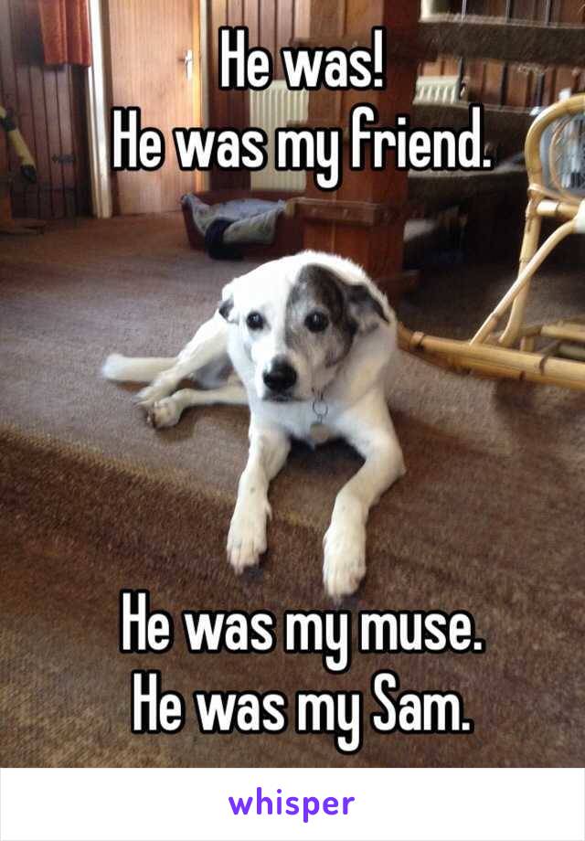 He was! 
He was my friend.





He was my muse. 
He was my Sam. 