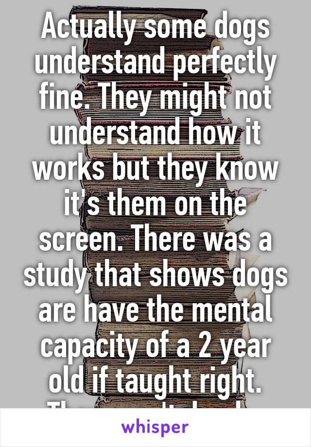 Actually some dogs understand perfectly fine. They might not understand how it works but they know it's them on the screen. There was a study that shows dogs are have the mental capacity of a 2 year old if taught right. They aren't dumb. 