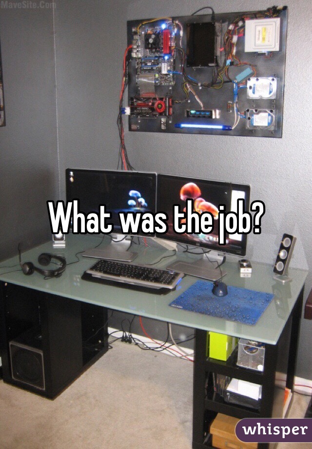 What was the job?