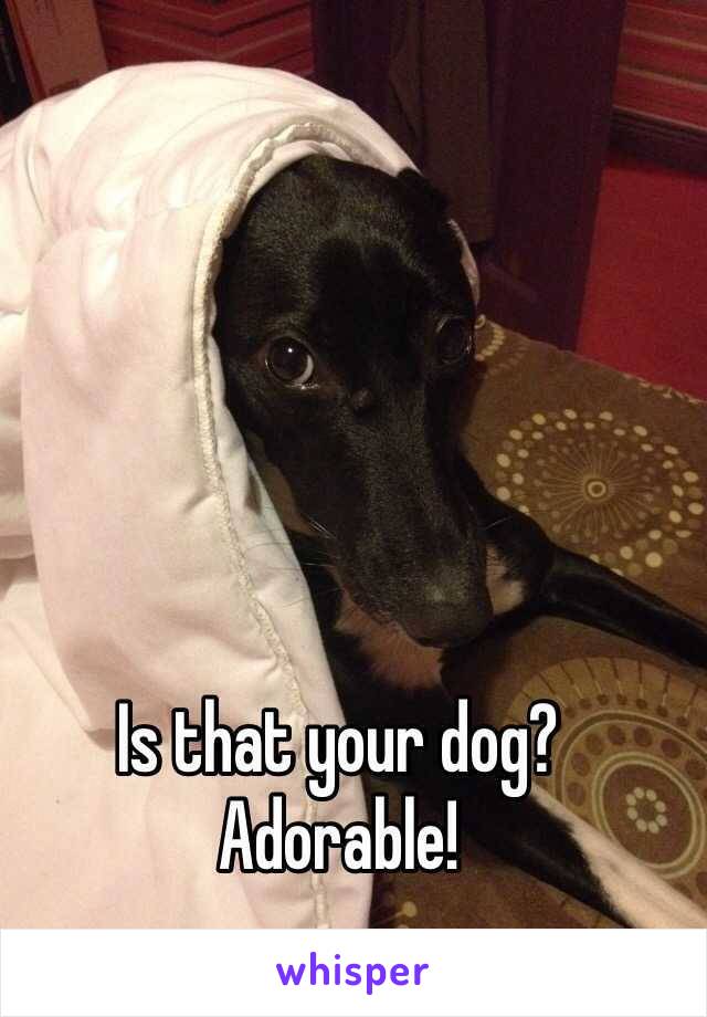 Is that your dog? Adorable! 