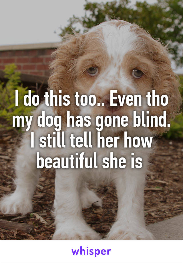 I do this too.. Even tho my dog has gone blind. I still tell her how beautiful she is 