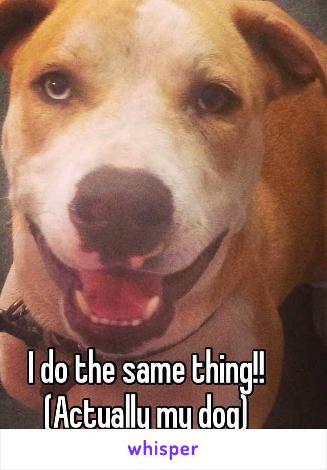 I do the same thing!! (Actually my dog)