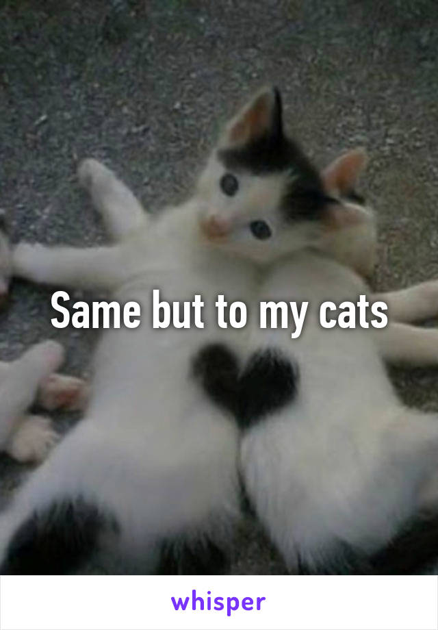 Same but to my cats