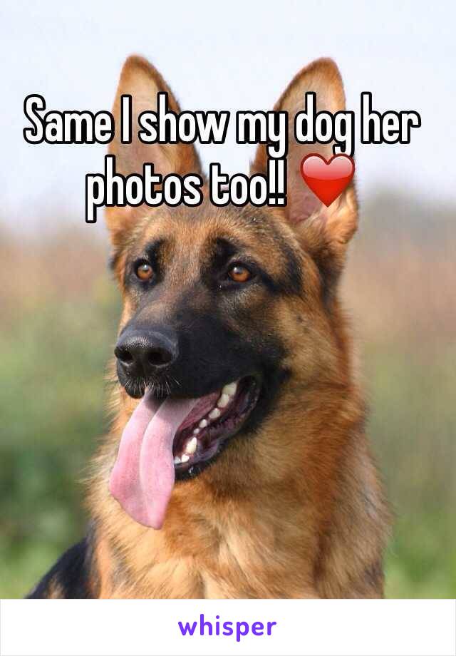 Same I show my dog her photos too!! ❤️