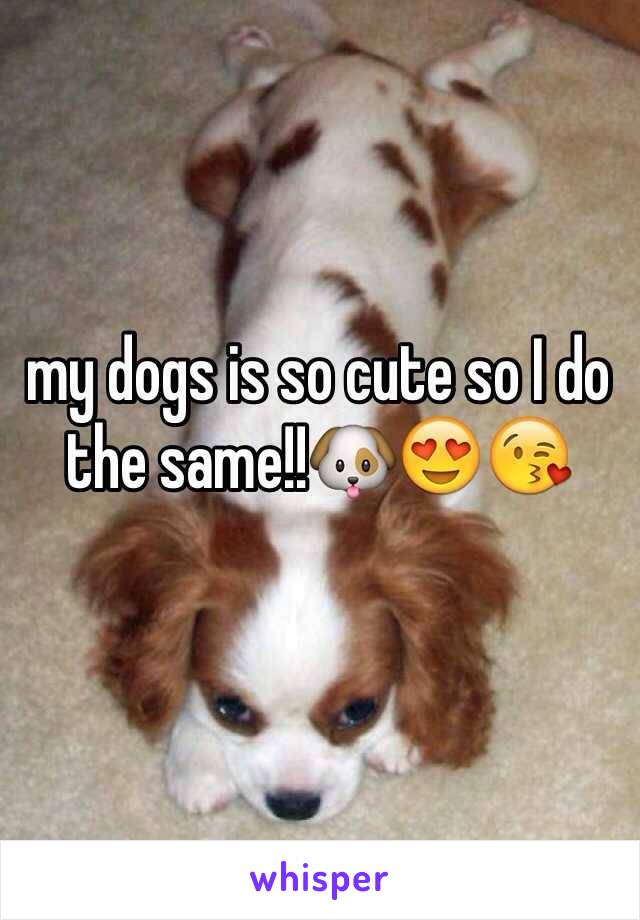 my dogs is so cute so I do the same!!🐶😍😘 