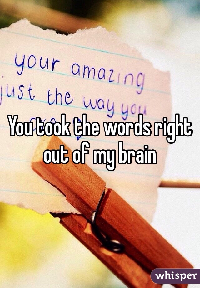 You took the words right out of my brain 