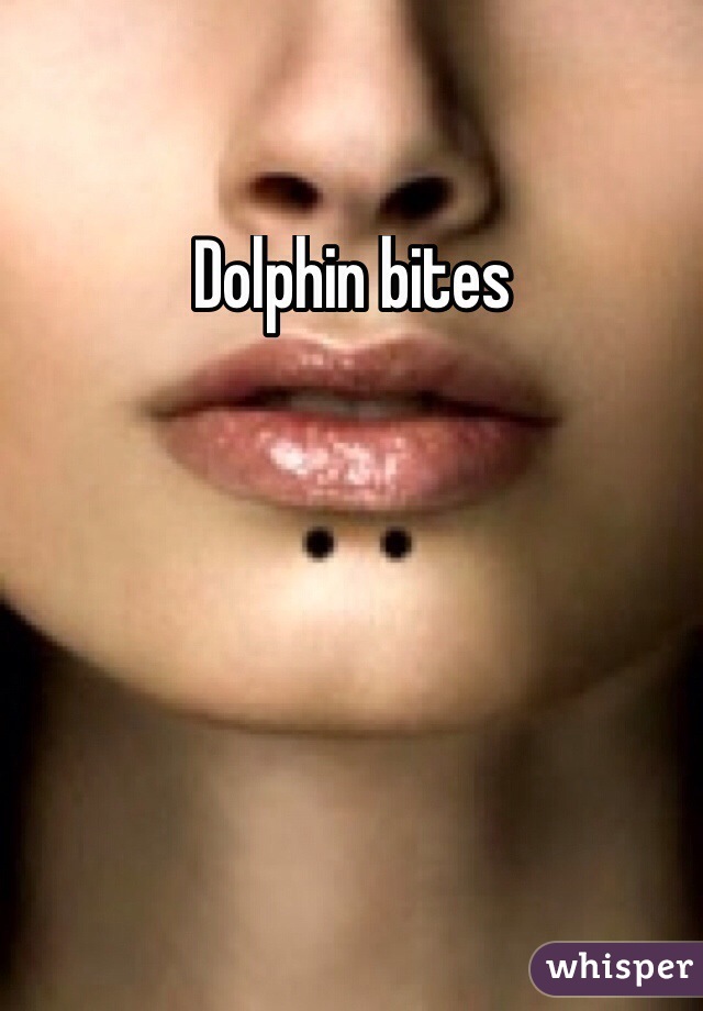 Dolphin bites
