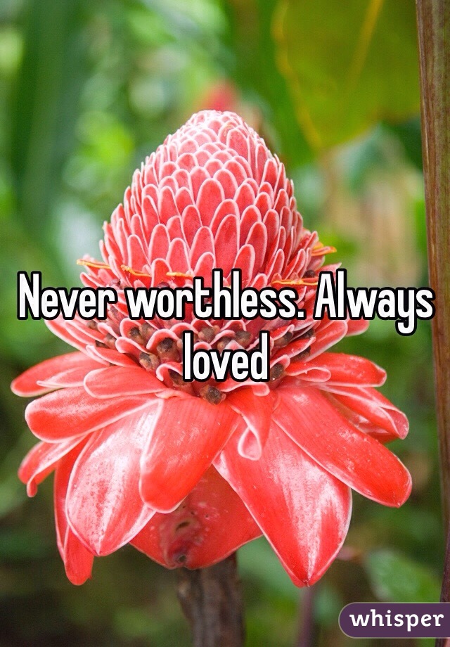 Never worthless. Always loved