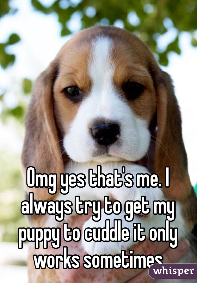 Omg yes that's me. I always try to get my puppy to cuddle it only works sometimes 