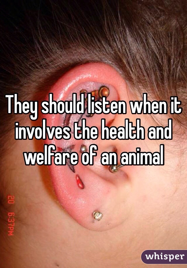 They should listen when it involves the health and welfare of an animal