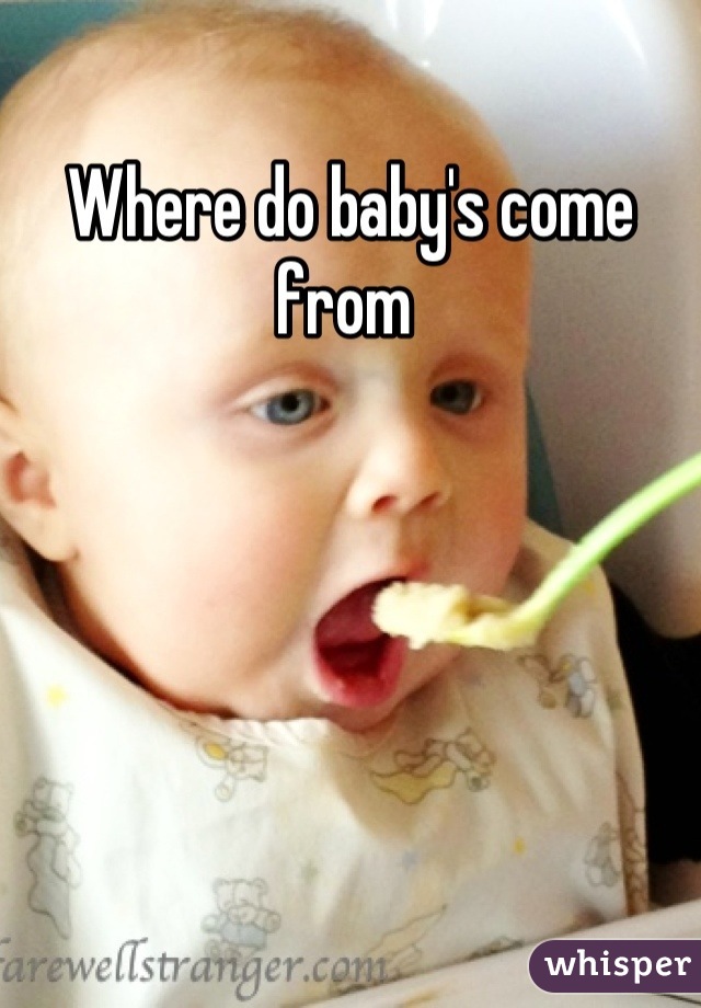 Where do baby's come from 