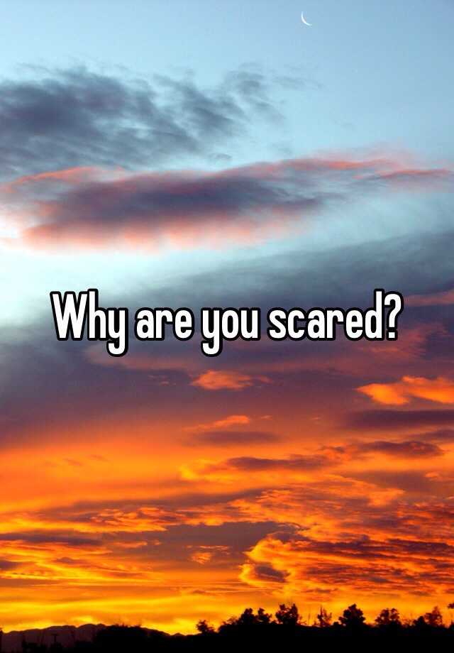 why-are-you-scared