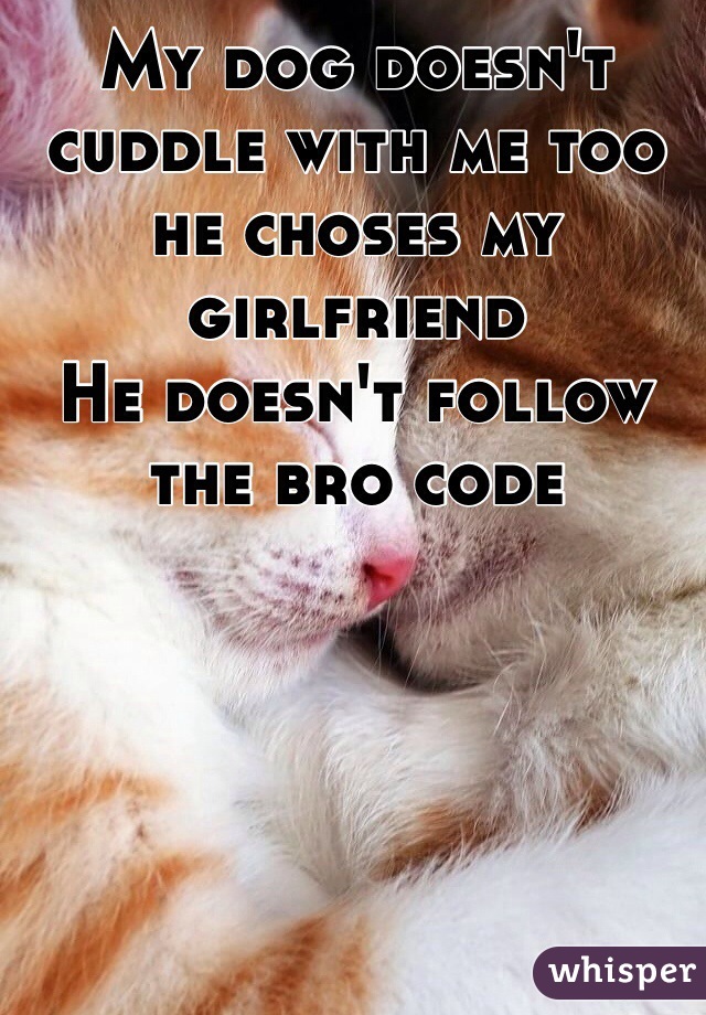 My dog doesn't cuddle with me too he choses my girlfriend 
He doesn't follow the bro code 