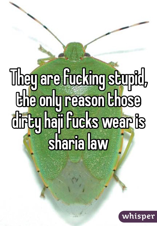 They are fucking stupid, the only reason those dirty haji fucks wear is sharia law