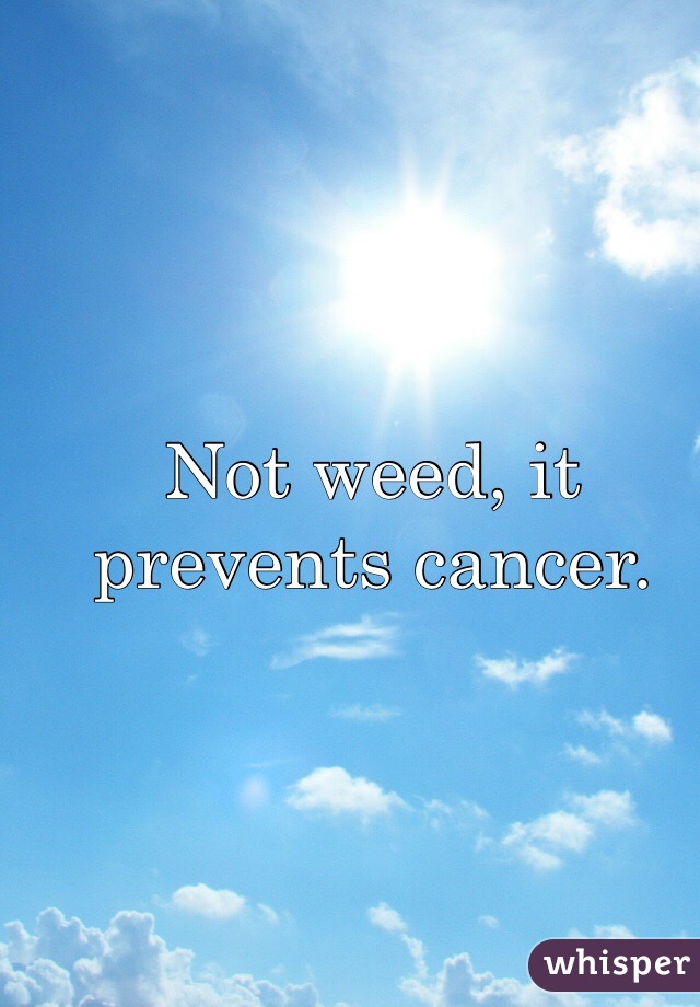 Not weed, it prevents cancer.