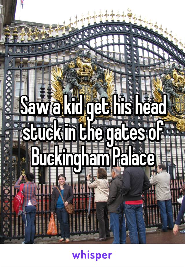 Saw a kid get his head stuck in the gates of Buckingham Palace