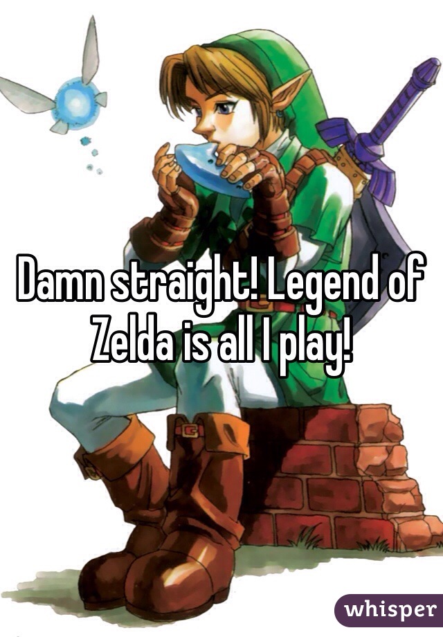 Damn straight! Legend of Zelda is all I play! 