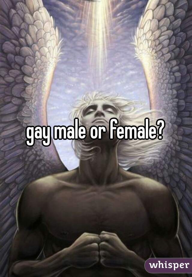 gay male or female?