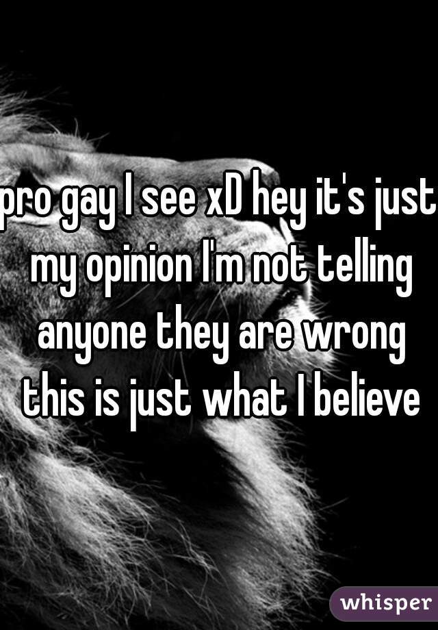 pro gay I see xD hey it's just my opinion I'm not telling anyone they are wrong this is just what I believe