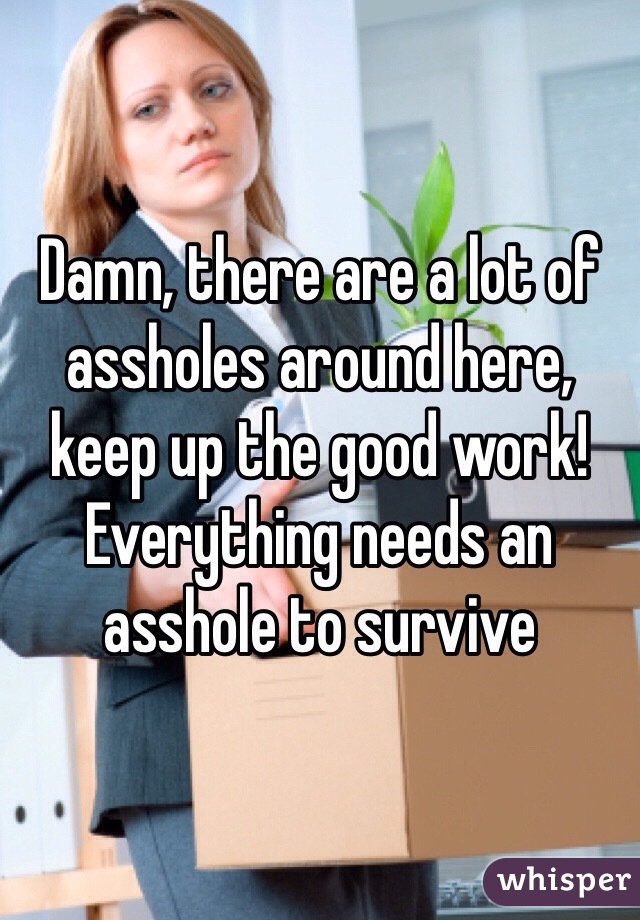 Damn, there are a lot of assholes around here, keep up the good work! Everything needs an asshole to survive 