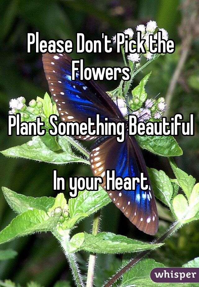 Please Don't Pick the Flowers

Plant Something Beautiful

In your Heart

