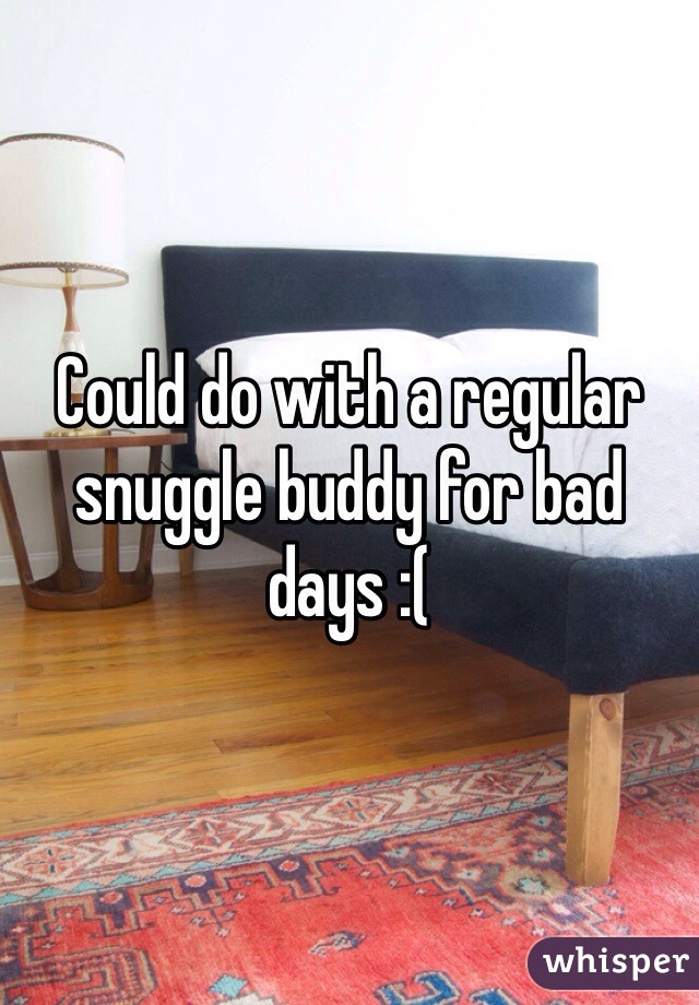 Could do with a regular snuggle buddy for bad days :( 