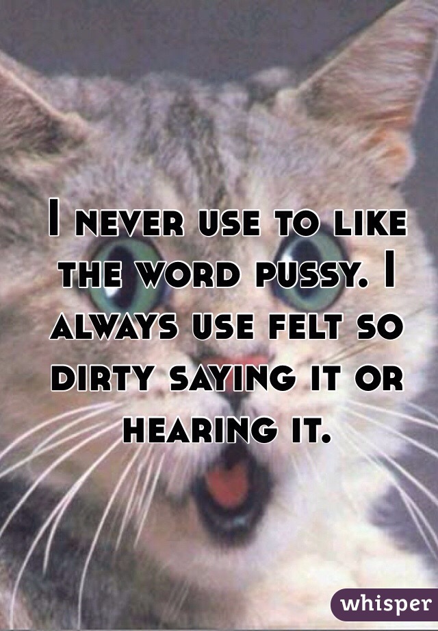 I never use to like the word pussy. I always use felt so dirty saying it or hearing it.