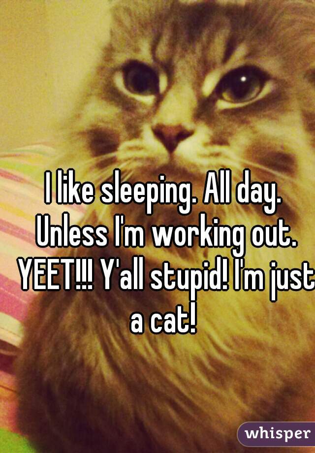 I like sleeping. All day. Unless I'm working out. YEET!!! Y'all stupid! I'm just a cat! 