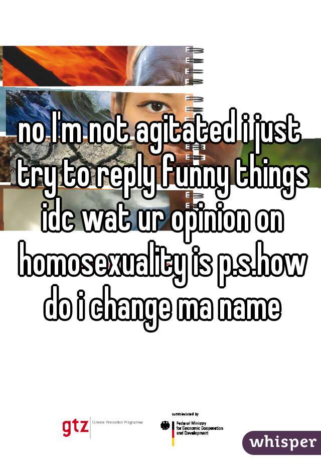 no I'm not agitated i just try to reply funny things idc wat ur opinion on homosexuality is p.s.how do i change ma name